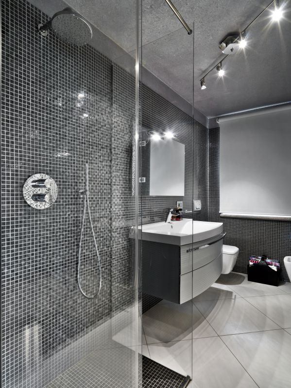 Contemporary Shower Setup
